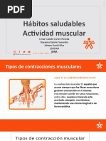 Actividad Muscular