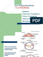 ZLY111 Phylum Platyhelminthes 1