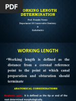 Working Length Determination: Prof. Promila Verma Department of Conservative Dentistry & Endodontics