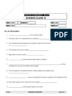 CBSE Class 4 Science Worksheet - Revision