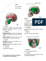 Músculos Da Mastigação