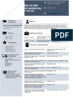 Modelo de CV 2