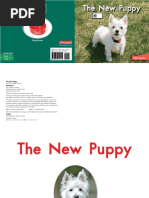 003 The New Puppy