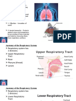 Bio 101 Respi 1