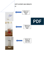 Activity 10 Post Lab-Results: Casein From Milk