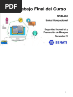 Nsid Nsid-408 Trabajo Final