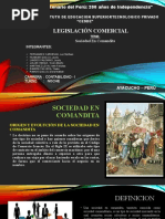 Exposicion Sociedad en Comandita - Legislacion