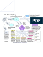 Bio Toxin Pathway