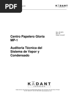 Auditoria Tecnica Del Sistema de Vapor y Condensado MP1