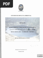 Estudio de Impacto Ambiental: Proyecto