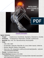 CURS. Meningite