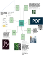 Requerimientos Nutricionales de Microorganismos