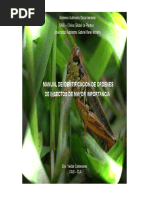 Manual of Identification of Major Insect Orders