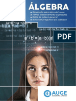 Auge Teoria Algebra PDF