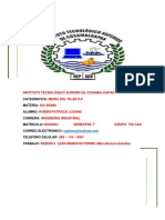 Manufactura Esbelta (Ruben Patraca Lozano)