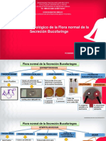 Practica Microbiologia Semana 10