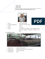 Kelompok 3 - Profil Pengusaha Tanaman Hias Dracena