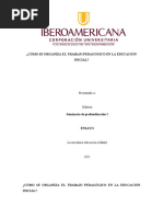 ¿Cómo Se Organiza El Trabajo Pedagógico en La Educación Inicial