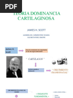 Teoria Dominancia Cartilaginosa