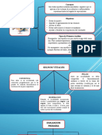 Primeros Auxilios