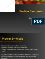 Protein Synthesis: Teresia Okarina