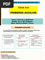 24 Tema Primeros Auxilios