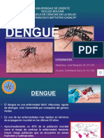 Presentacion Dengue