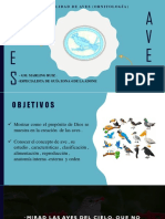 Especialidad de Aves 1 Versión ADONE