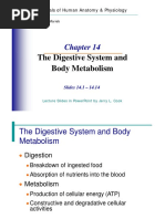 CHAPTER 14 The Digestive System