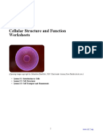 ANSWERS Worksheets Cell Structure Functions