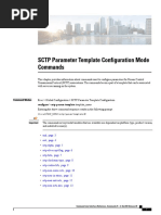 SCTP Parameter Template Configuration Mode Commands: Command Modes Configure Sctp-Param-Template Template - Name