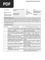 Descripcion de Puesto Jefe de Seguridad, Salud y Medio Ambiente