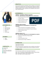 Plantilla Curriculum Vitae 2