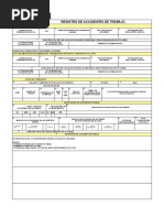 Registro de Auditoria SST