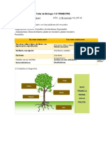 Taller Reino Vegetal 1