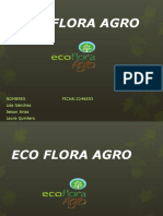 3.2.1 Eco Flora Agro