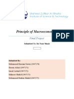 Macroeconomics Final Project