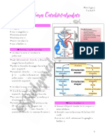 Sistema Cardiovascular  