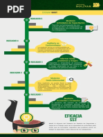 08 Eficacia SST (Infografía)