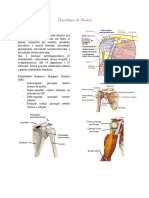 Semiologia Do Ombro