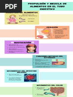 Fisiología Gastrointestinal (Infografía)