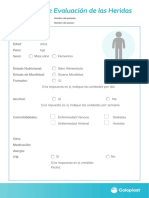 Evalución Del Triángulo de Las Heridas