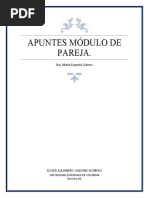 Compilación Apuntes Derecho de Familia - Modulo de Pareja