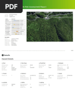 Catnet® Natural Perils Risk Assessment Report: CH El Angel