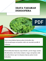 PPT Budidaya Tanaman Indigofera-1