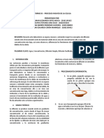 Informe Procesos Pasivos de La Celula