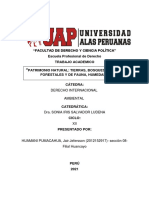 Trabajo Academico - Derecho Internacional Ambiental - 2012152917 - Huamani Pumacahua Jair Jefersson - Filial Huancayo