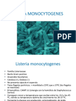 Listeria Corynebacterium