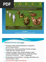 Metamorfosis Serangga-Dikonversi