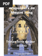 Acupuntura Tung 